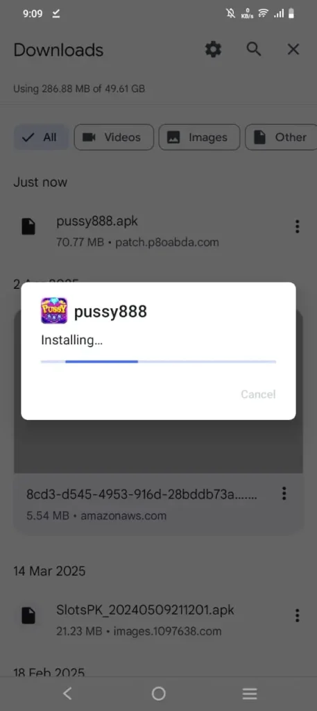 pussy888 installation